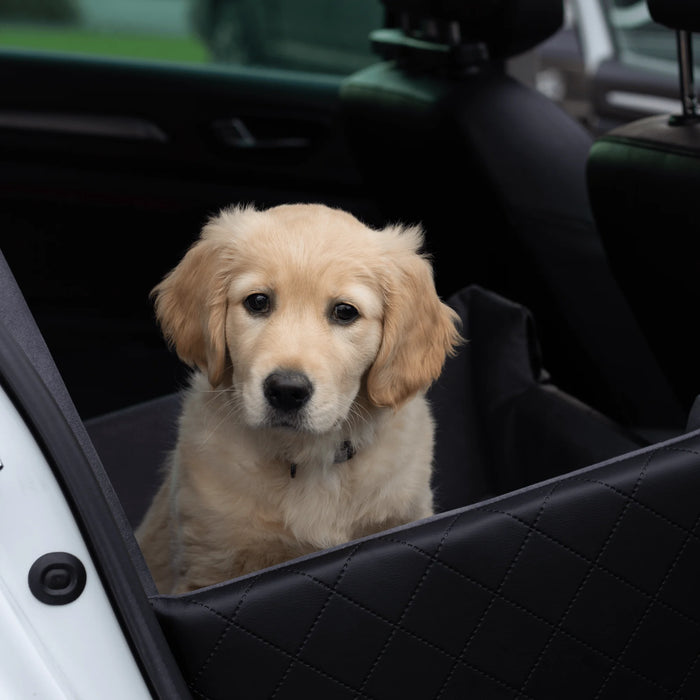 Lucy Traveller - Dog car seat